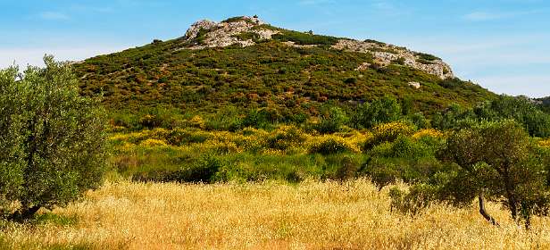 8: 170604095912Maussane