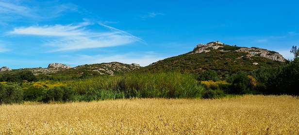 9: 170604100219Maussane