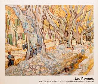 4: 170531101916BotanischeRoute