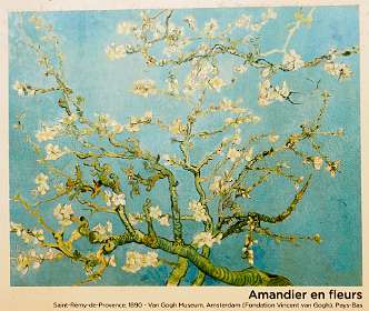 8: 170531102825BotanischeRoute