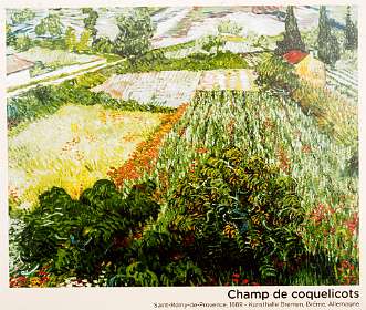 11: 170531103532BotanischeRoute