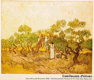 13: 170531103856BotanischeRoute