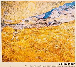 14: 170531103958BotanischeRoute