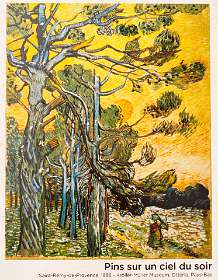 15: 170531104127BotanischeRoute