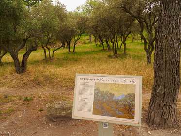 1: 170531104351BotanischeRoute