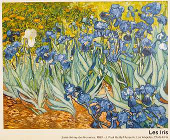 19: 170531104458BotanischeRoute