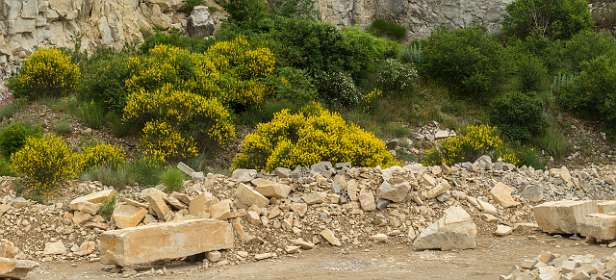 25: 160616-125556_LeVieuxMontsalier-Pano<br>Oude steengroeve