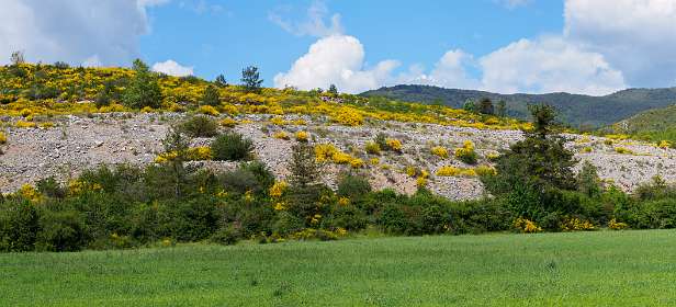 6: 19060606-0611272736_LacDeCastillon-Pano