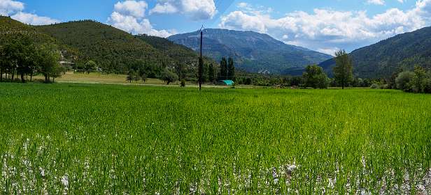 7: 19060606-0611393957_LacDeCastillon-Pano