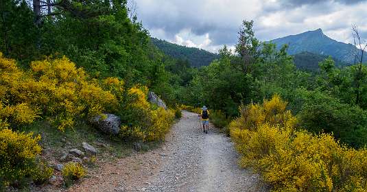 9: 19060606-0612414104_LacDeCastillon