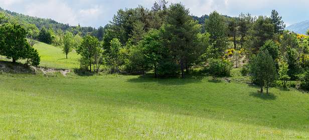 10: 19060606-0612505051_LacDeCastillon-Pano