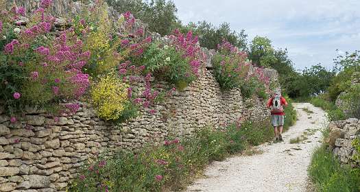 14: 160525-142042_Gordes