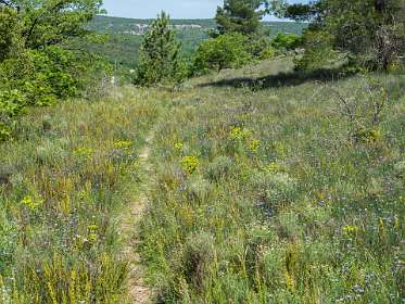 12: 160527-113925_Gordes