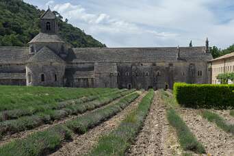  Abbey de Sénanque