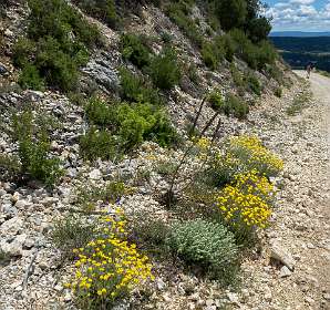 19: 160602-132906_Lourmarin
