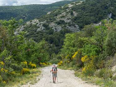 21: 160602-134014_Lourmarin<br>Jammer dat je de Brem niet kan ruiken!
