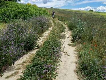 22: 160602-135502_Lourmarin