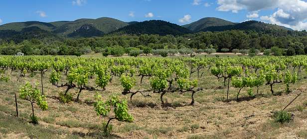 4: 160603-112525_Cucuron-Pano<br>In de achtergrond de Luberon