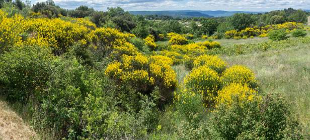 5: 160603-113101_Cucuron-Pano