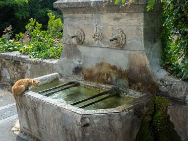 6: 160603-115132_Cucuron<br>Vaugines