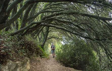 15: 160603-122040_Cucuron