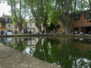 19: 160603-125931_Cucuron