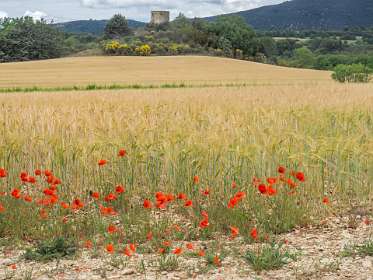 30: 160603-144939_Cucuron