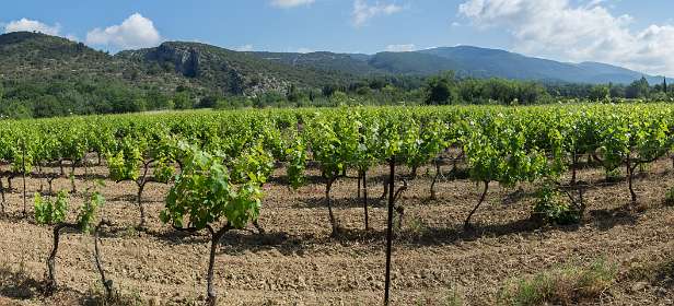 12: 160605-102421_Lourmarin-Pano