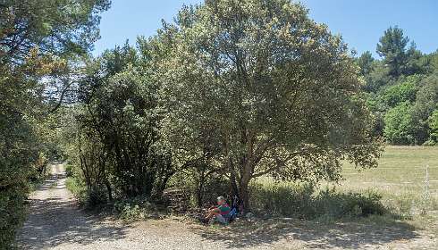 23: 160605-130212_Lourmarin<br>Lunch