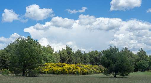 24: 160605-131831_Lourmarin