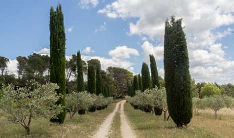 26: 160605-132325_Lourmarin