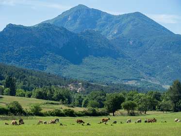 4: 160610-100346_Moustiers_Sainte-Marie