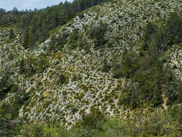 15: 160611-120520_Moustiers_Sainte-Marie<br>Op dat pad liepen we hiervoor