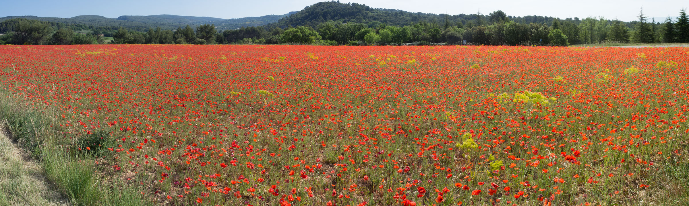 Klik om de knoppen te tonen of te verbergen