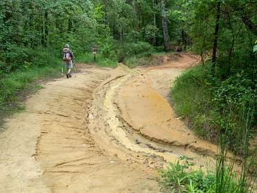 2: 160529-120819_Rustel<br>Het had flink geregend