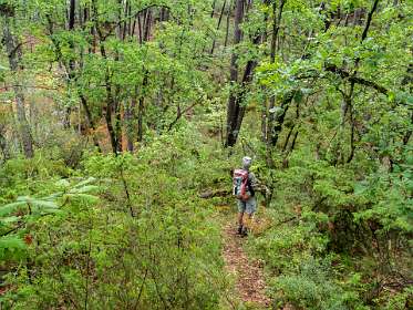 4: 160529-123028_Rustel