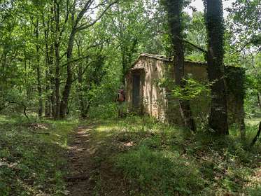 23: 160529-145250_Rustel