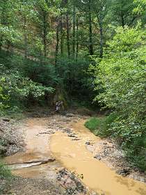 24: 160529-150325_Rustel<br>g