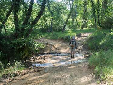 3: 160530-100951_Rustrel