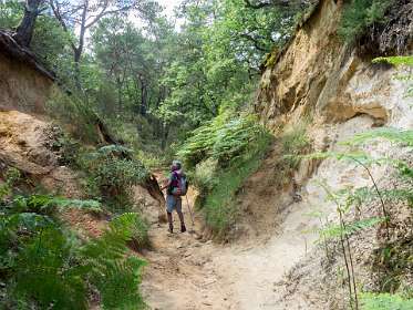 29: 160530-125751_Rustrel