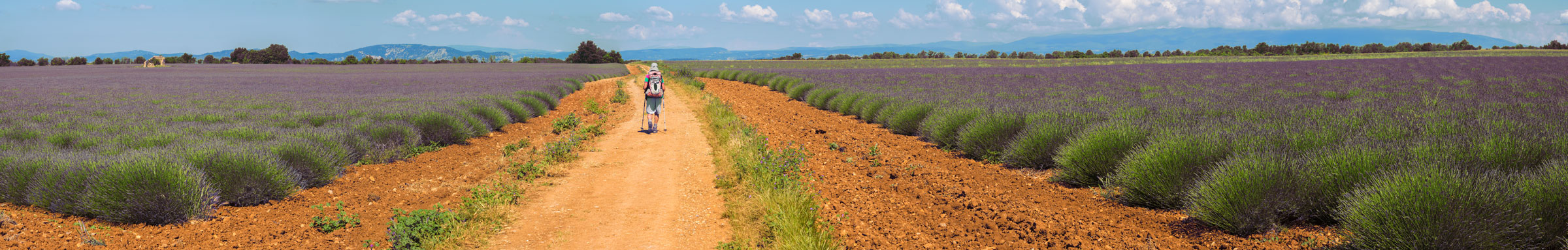 Klik om de knoppen te tonen of te verbergen