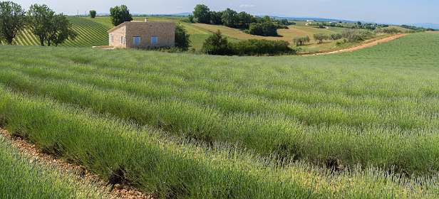7: 160607-105422_Valensole-Pano