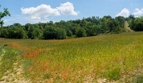 20: 160607-120544_Valensole