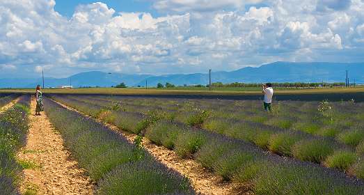 23: 160607-123358_Valensole