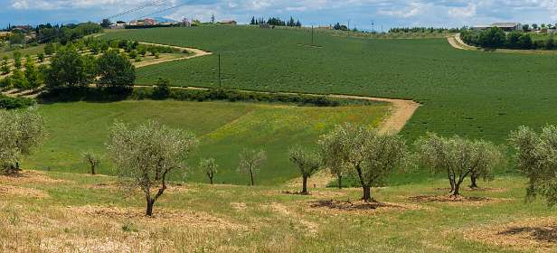 28: 160607-131234_Valensole-Pano