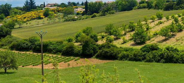 29: 160607-131615_Valensole-Pano