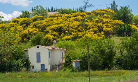 30: 160607-132239_Valensole