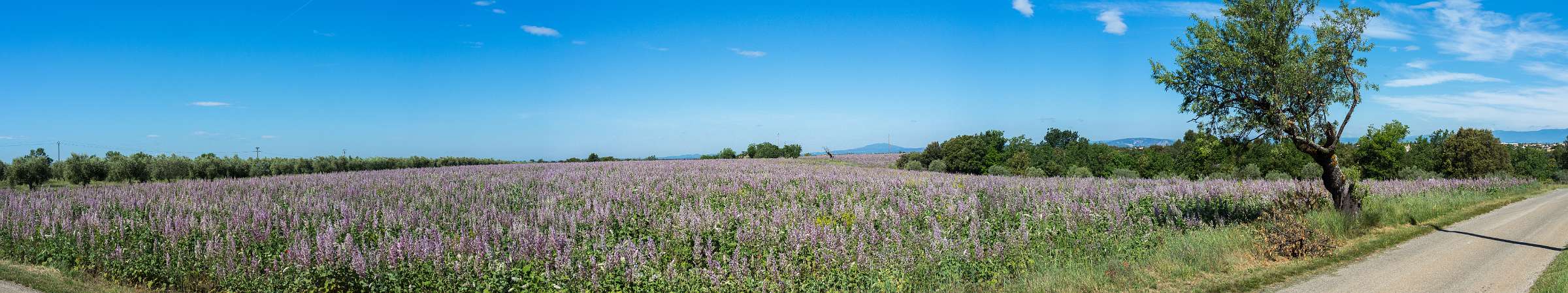 Klik om de knoppen te tonen of te verbergen