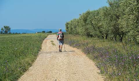 8: 160608-105037_Valensole