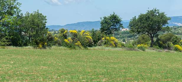 9: 160608-111559_Valensole-Pano